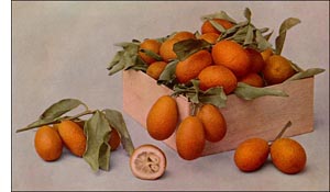 Kumquat fruit